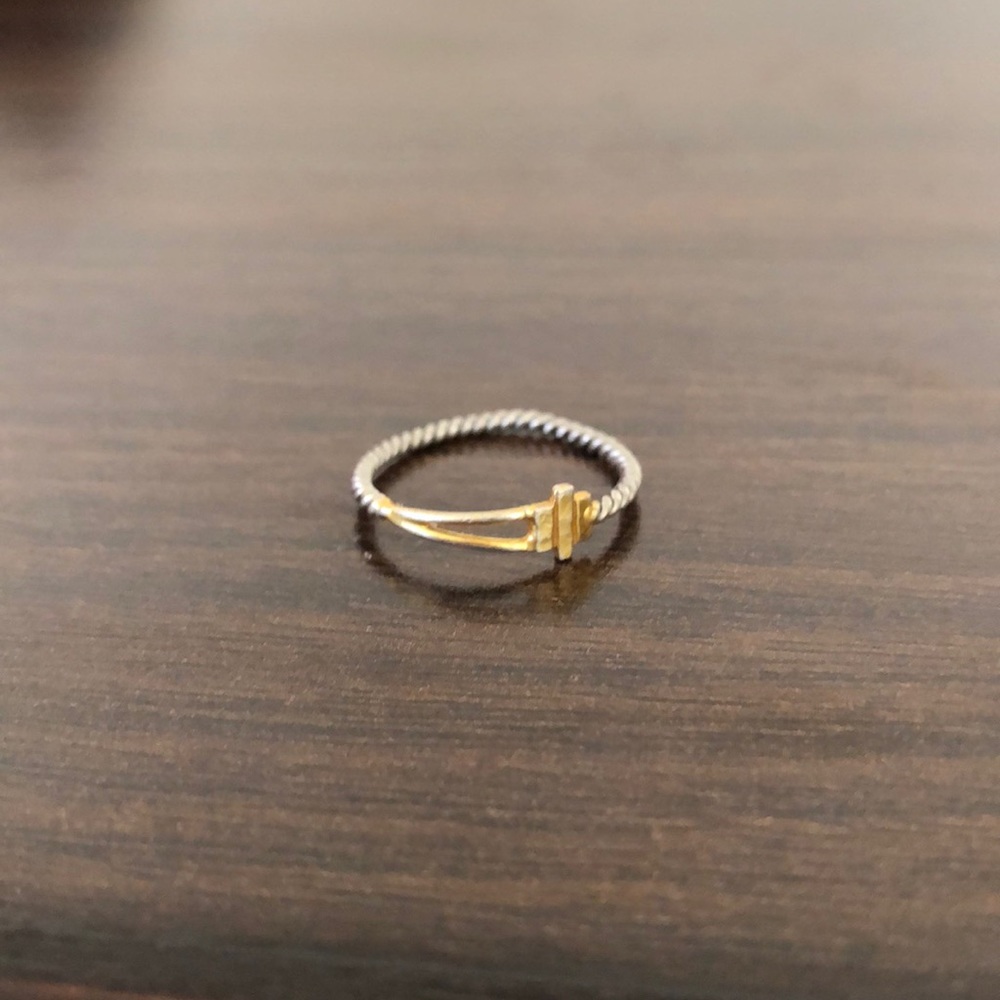 Gold and silver ring